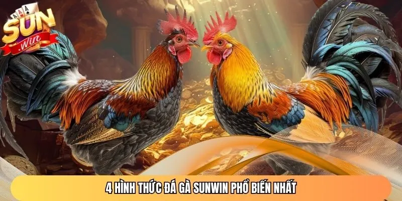 4 hình thức đá gà Sunwin phổ biến nhất