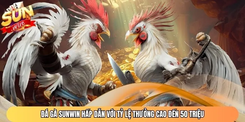 Đá Gà Sunwin Hấp Dẫn Với Tỷ Lệ Thưởng Cao Đến 50 Triệu