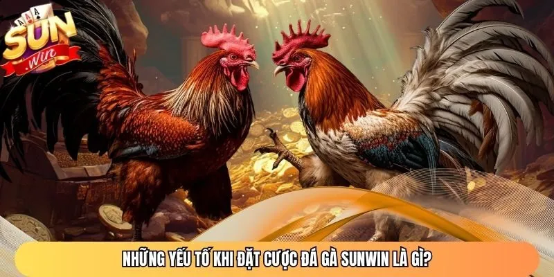 Những yếu tố khi đặt cược đá gà Sunwin là gì?